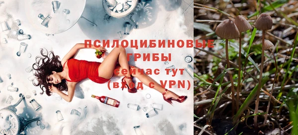 герыч Володарск