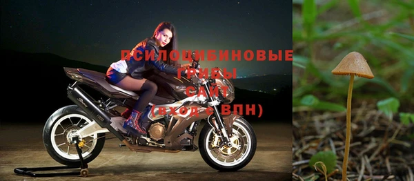 МДПВ Волоколамск
