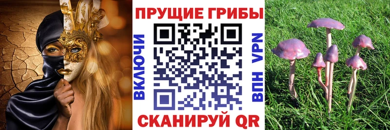 Купить закладки  Полевской  Галлюциногенные грибы MAGIC MUSHROOMS 